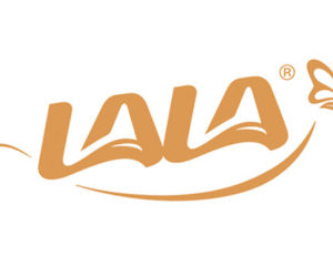 Grupo Lala solicita desarrollador de ventas